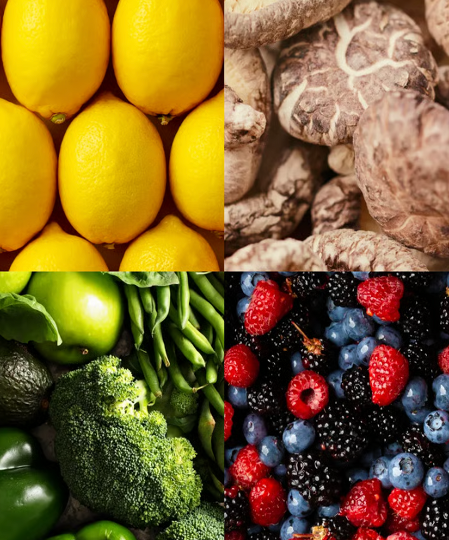 <p>Why it keeps coming back, and <strong>how we stop it.</strong></p>